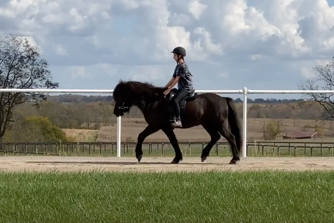 Chloe Riles and Þundur from Winterhorse Park