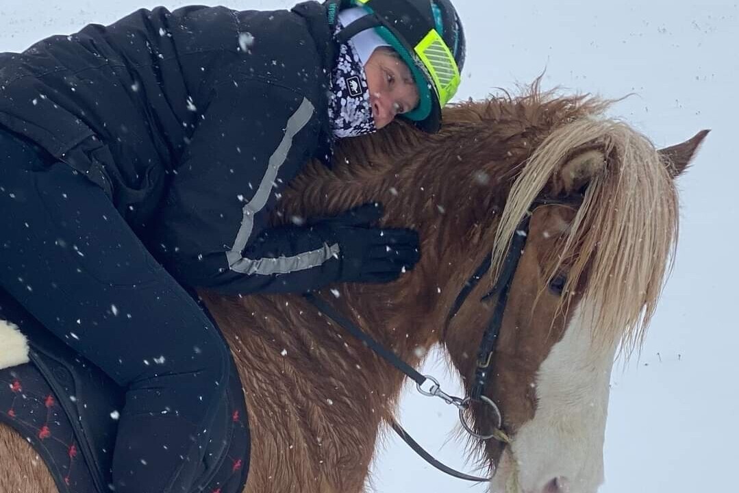 Sea 2 Shining Sea Icelandic horse