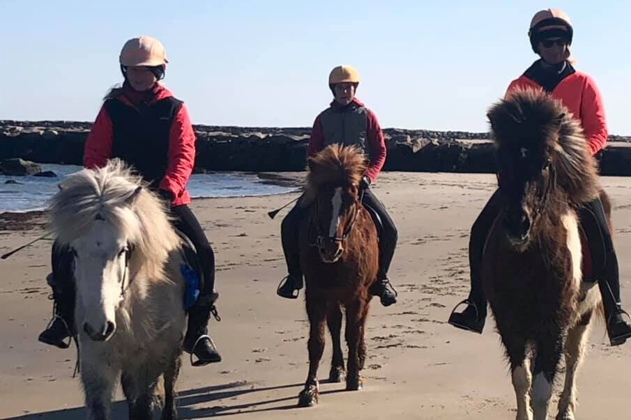 Sea 2 Shining Sea Ride Icelandic horses on Block Island