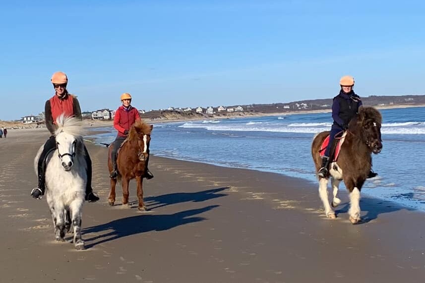 Sea 2 Shining Sea Ride Icelandic horses on Block Island