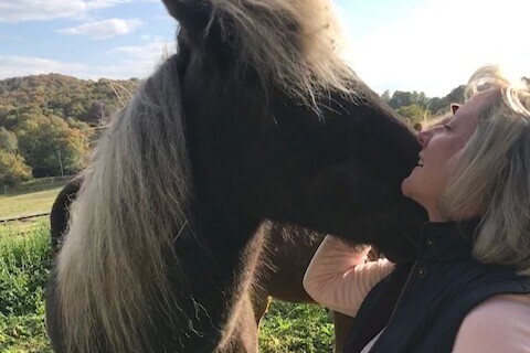 Sea 2 Shining Sea Ride Icelandic horses